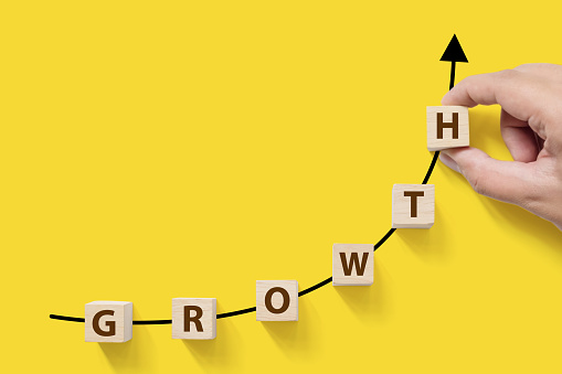 3 Steps to Make Sure Business Growth